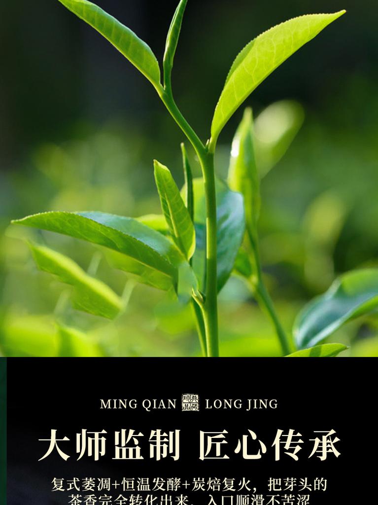 Xiaocha Diary Green Tea Longjing Mingqian 250g Head Picking New Tea Tea Gift Box Packaging High end Gift Giving