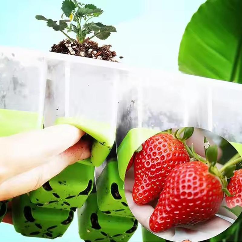 5 Pack 12-Cell Silicone Seedling Starter Tray, Reusable Houseplant Sprouting Containers, Plant Germination Tray, Plant Seedling Pots for Garden