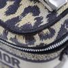 Dior Vanity Handbag 2WAYShoulder Leopard Beige Canvas Women Used