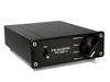 FX-AUDIO- FX-1001J TPA3116 Digital Amplifier IC, PBTL Mono Power Amplifier, 100W X 1ch, ParallelBT (Black)