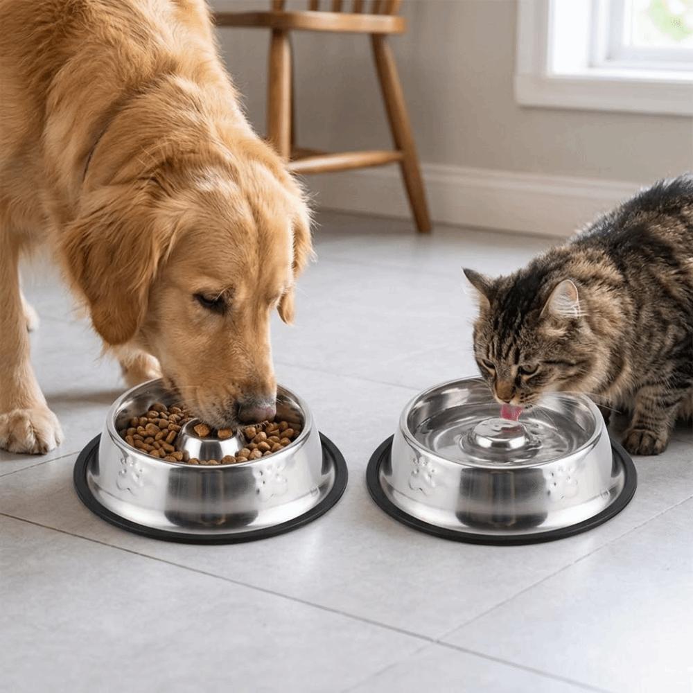 Anti-tip Pet Bowl Rustproof Pet Drinking Bowl Durable Use Cat Food Bowl  Pet Rest Area