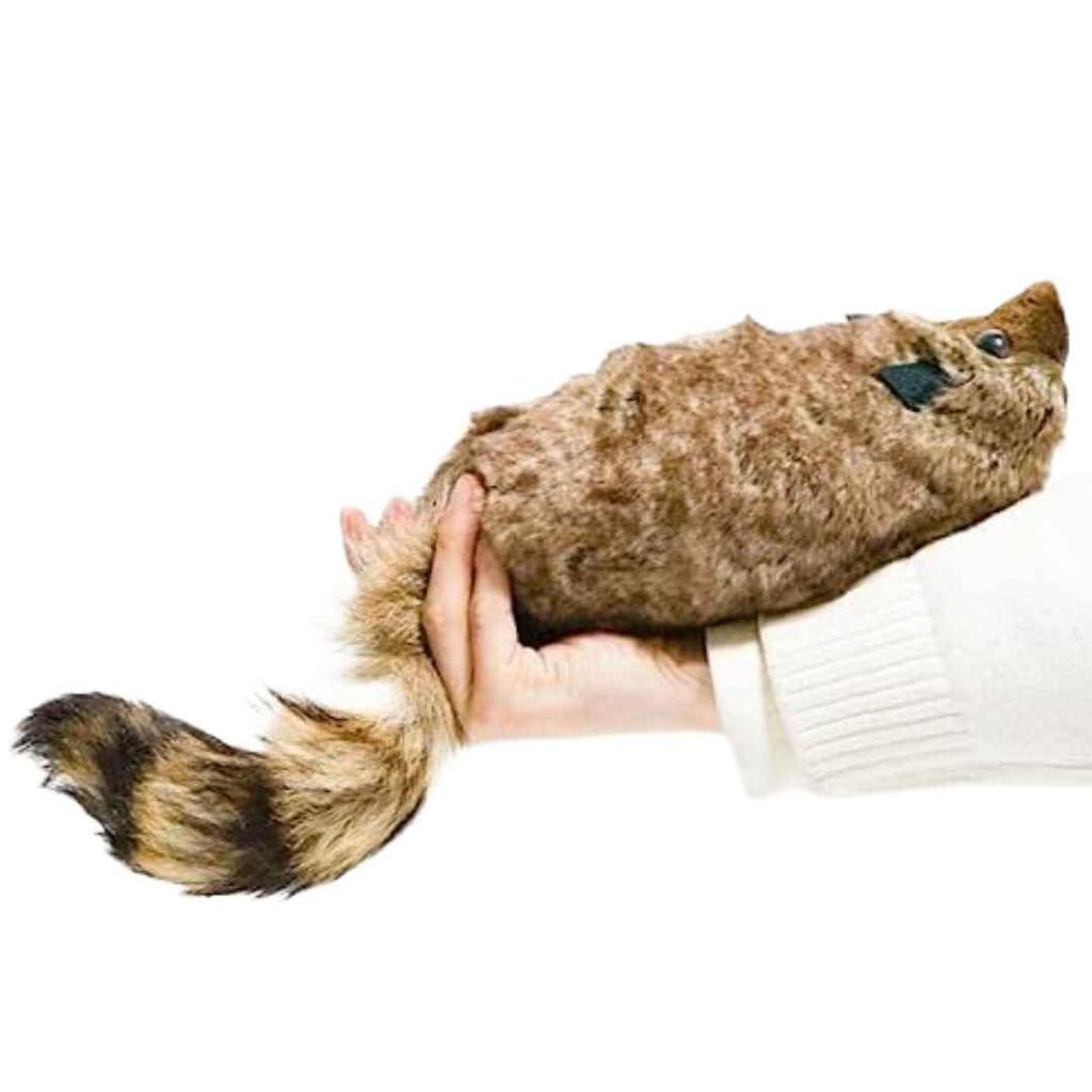 Magic Raccoon Spring Pet Magic Cute Raccoon Plush Toy Tricks, Lucky-kun, Maggie, Trick, Animal,