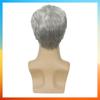 2025 Moda europeană perucă dreaptă scurtă pentru bărbați HW835