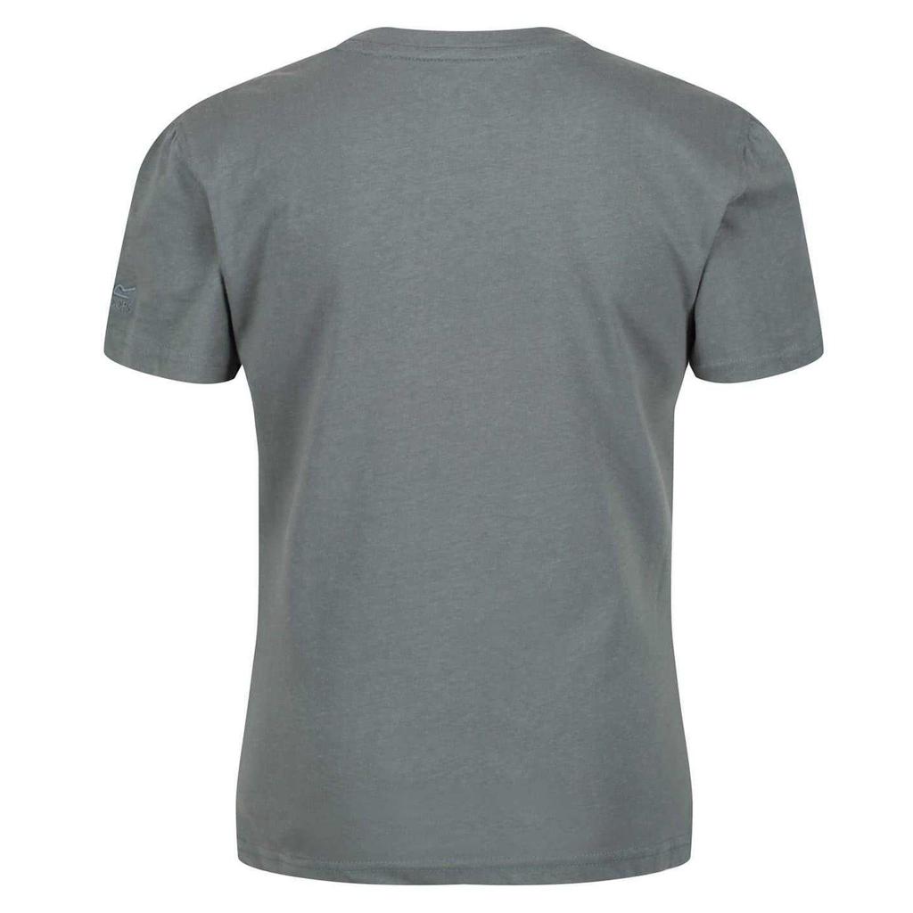 Regatta Womens/Ladies Jersey T-Shirt