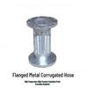Stainless Steel Flanged Flexible Hose