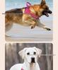 Neuer Stil Hunde Geschirr Weste Halsband für Große Rassen - Malinois, Golden Retriever, Deutscher Schäferhund, Border Collie