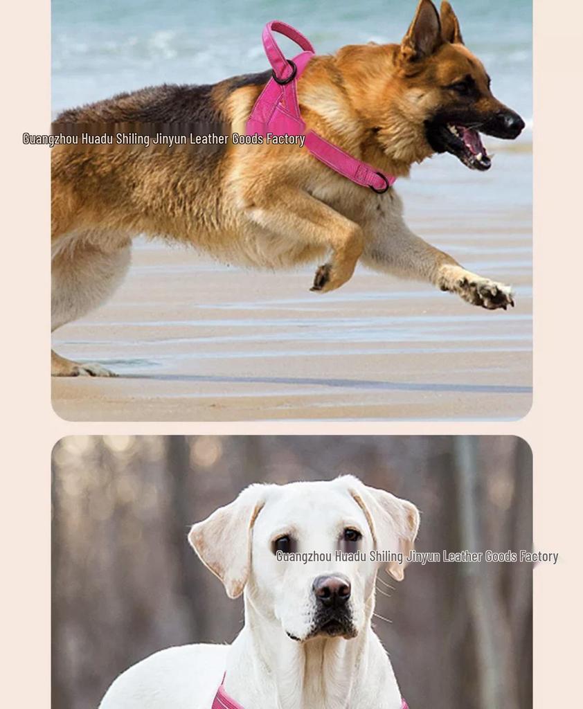 Neuer Stil Hunde Geschirr Weste Halsband für Große Rassen - Malinois, Golden Retriever, Deutscher Schäferhund, Border Collie