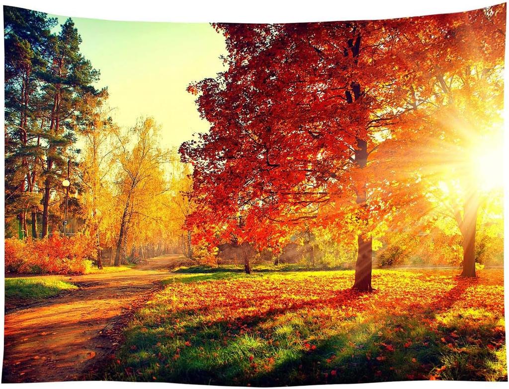Landscape Tapestry Autumn Season Fall Trees with Morning Fog in Forest Relaxing Art Nature Photo Home Wall Hanging Decro for