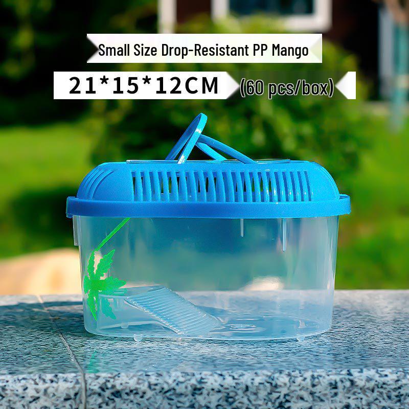 Compact Transparent Plastic Fish & Turtle Tank with Climbing Platform