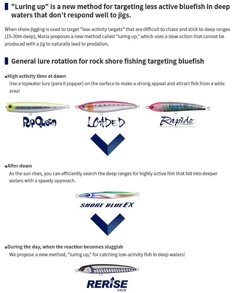 Maria Rerise S130 70 grams Sinking Lure 005 (5904)