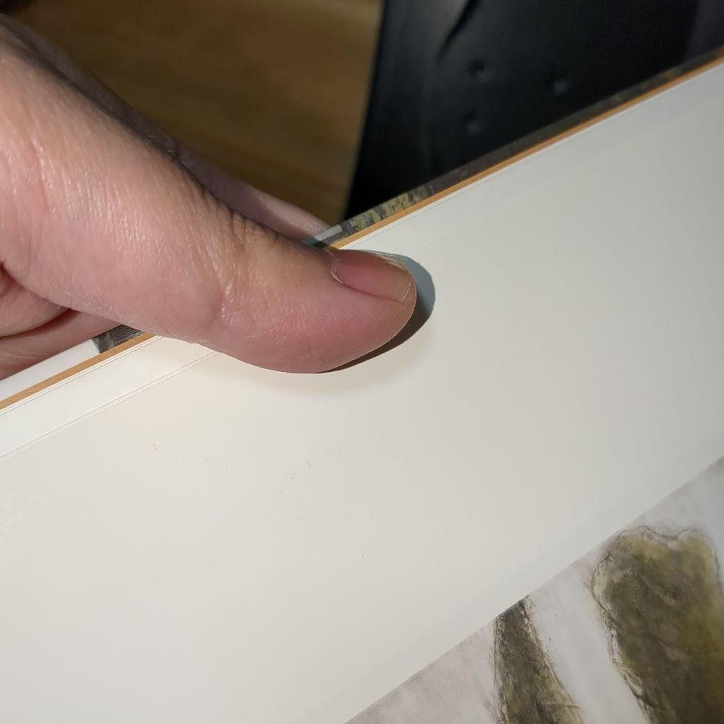 [USED] Shibusawa Kei Art Collection