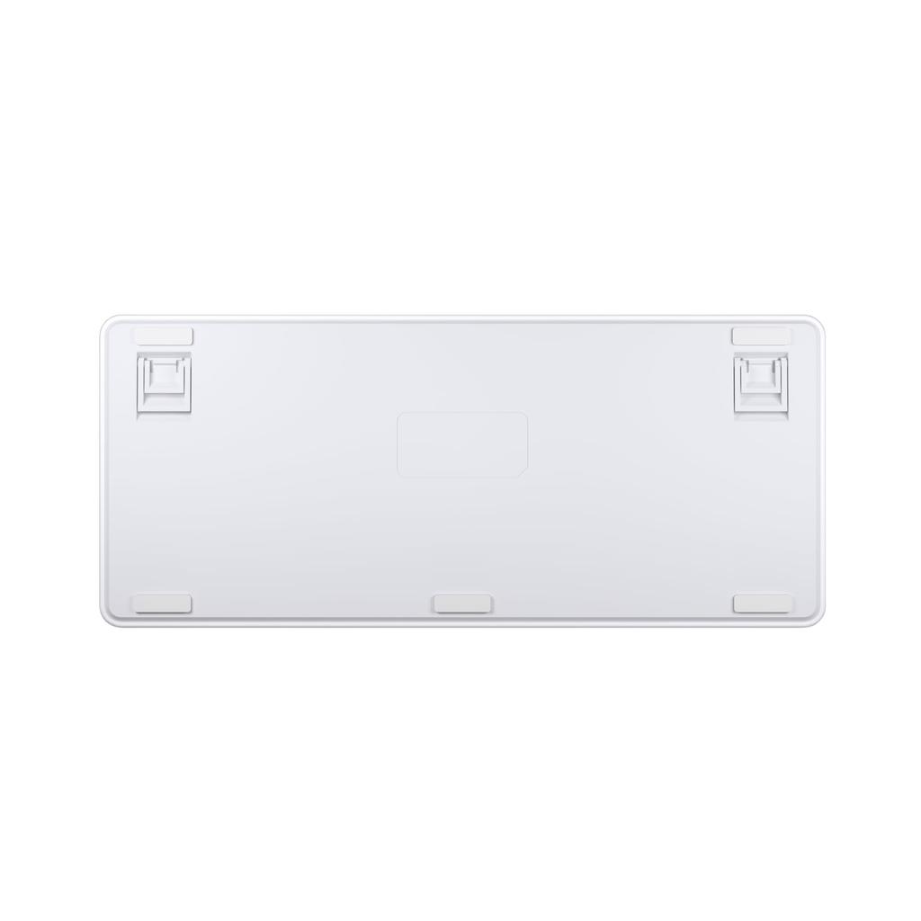 AIM1 Shun MATATAKI Rapid Trigger Gaming Keyboard with 8000Hz Polling English Backlit Magnetic Switches Rate, Layout, Wired, 75% Size, LED,