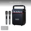 2 Wireless Microphones Portable Karaoke Speaker, Bluetooth PA System, Sound Card Standard