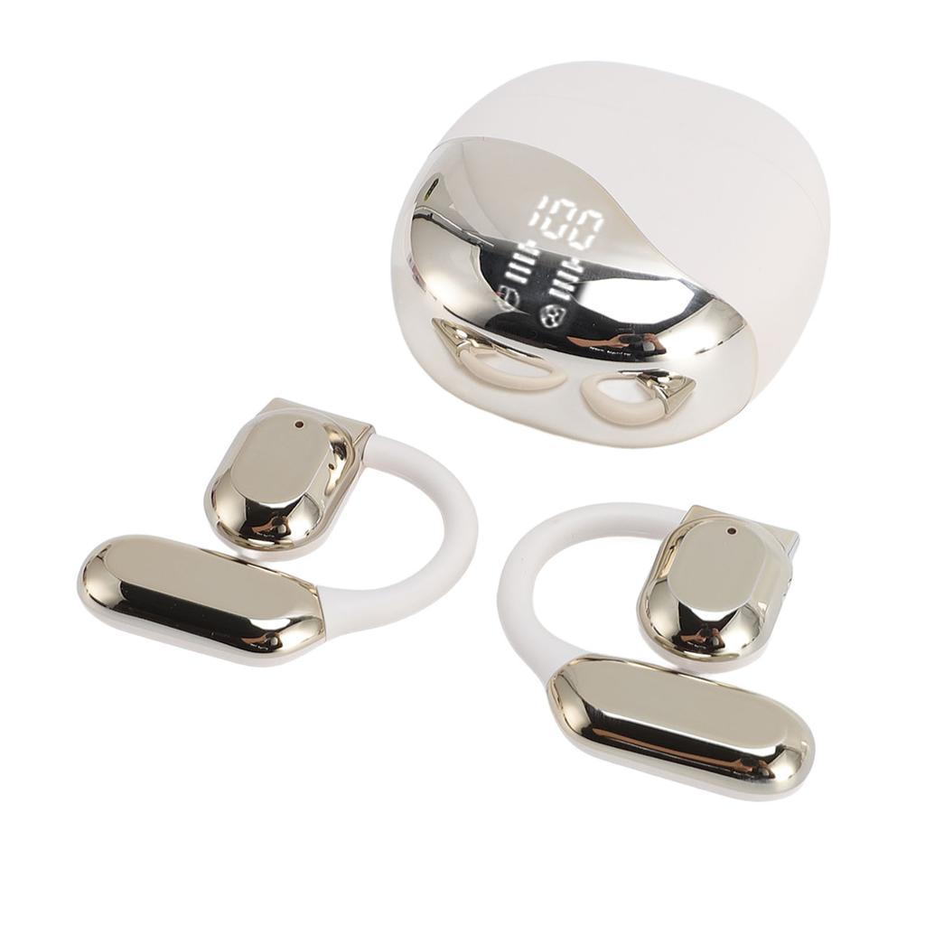 Wireless Translation Earbuds with APP 5.46 Version 144 Languages Translator Earphones Supports