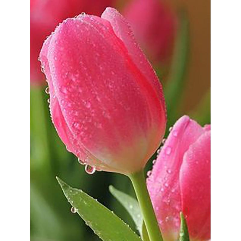 5D DIY Diamond Painting Full Round Drill Flower Cross Stitch Kit Mosaic Diamond Embroidery Rose Wall Art Home Decoration