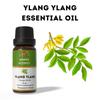 Ananta Ylang Ylang Essential Oil 10ml – Natural Floral Aroma for Diffuser & Home Fragrance