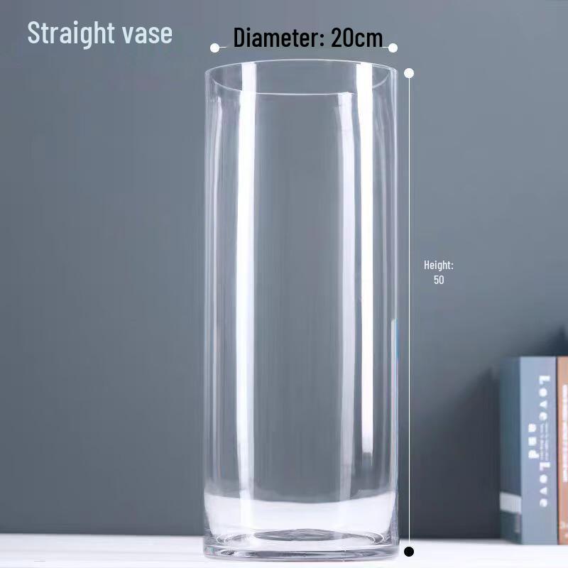 Transparent Glass Hydroponic Vase