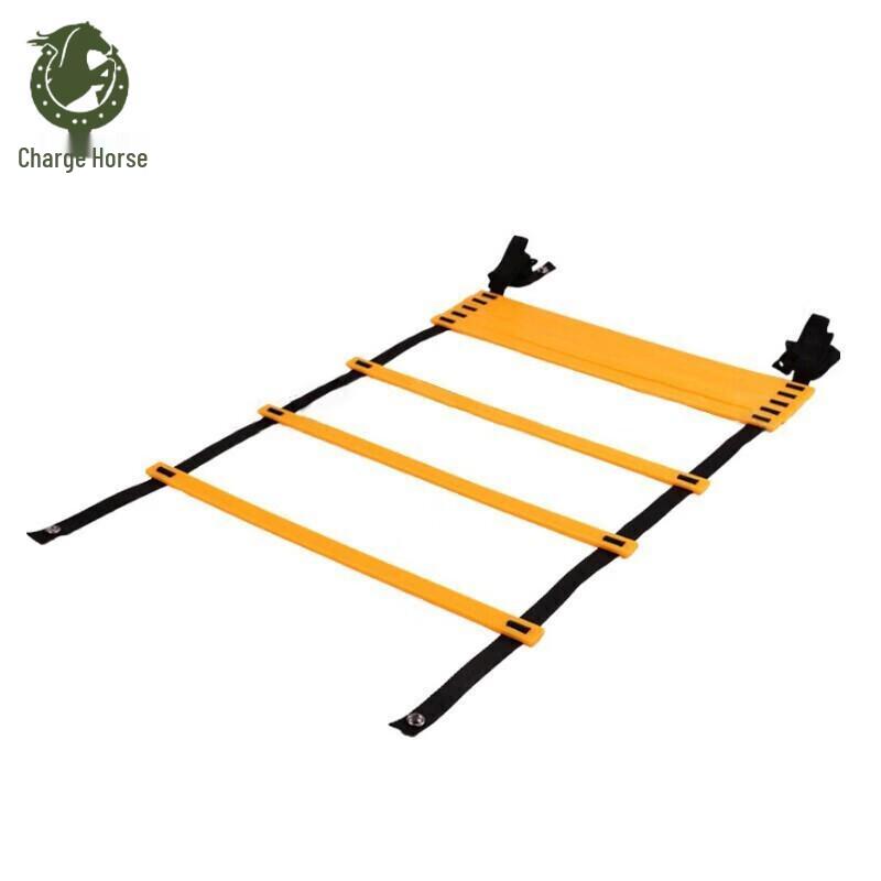 Agility Training Ladder