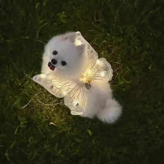 Dog Fairy Wings Light Up Butterfly Wings Pet Costume Embroidered Butterfly Wings with Lights for Parties