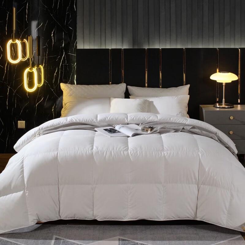 Muji Style Premium Nano Pearl Fiber Quilt