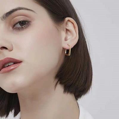 High-Grade French Style S925 Sterling Silver Stud Earrings Women's All-Match Simple Cold Style Short Temperamental Geometric Square Earrings