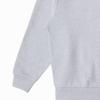THE NORTH FACE Urban Exploration Sweatshirt Men's Gray NF0A884M-DYX