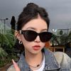 Korean New Style Cat Eye Sunglasses Fever Black Sunglasses Holiday Travel Men and Women Glasses Myopia