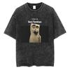 T-shirt Vintage Lavé Système de A Down Toxicity Pochette d'Album Musical