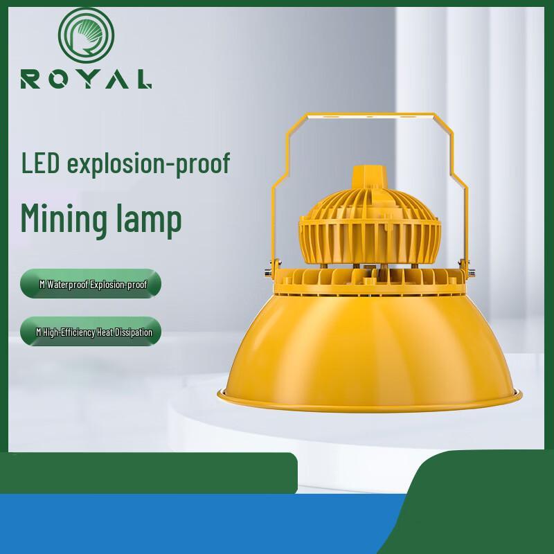 Rongya Explosion-Proof LED Industrial Ceiling Light