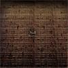 Nell 5th Album - Slip Away