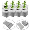 Planting Pocket Nursery Bags 100pcs Biodegradable For Home Tools