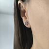 Orecchini in argento con zirconi cubici (2209058)