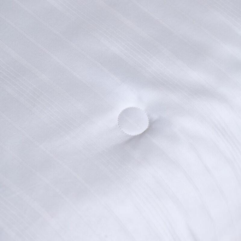 Heng Yuan Xiang All-Season Mulberry Silk Quilt