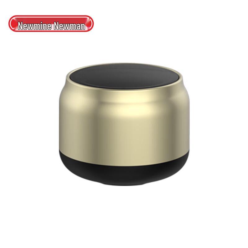 Newmine BT31 Portable Bluetooth Speaker
