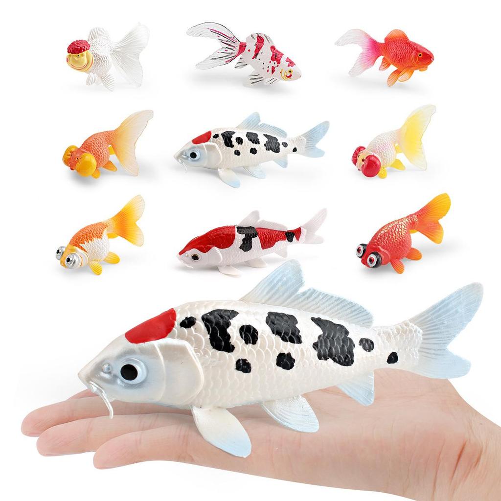 Ornamental Fish Model: Red-crowned Crane & Skygazer Dragon with Water-bubble Eye Shubunkin Goldfish Koi