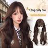 Lolita Curly Long Wig with Pigtails - Cute Water Wave Full Coverage