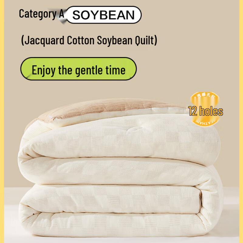 Beyond Home Textile All-Season Soy Fiber Quilt