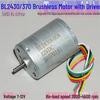 B2430/370 12V Silent Brushless Motor with Built-in Driver for Air and Water Pumps