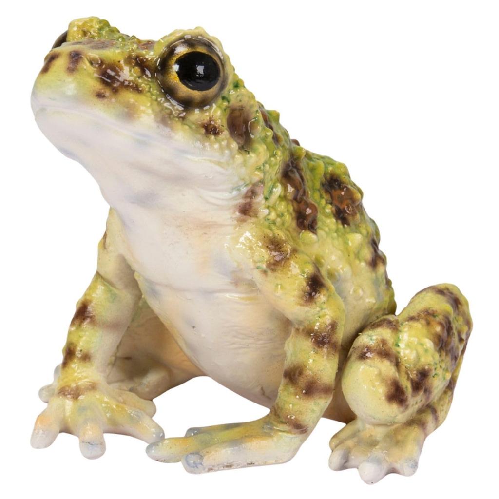 Ubia Ishikawa Green 8 x 8 x 7 Garden Cute H20221 Frog, Brown, cm, Figurine, Animal, Decor, Realistic, Frog,