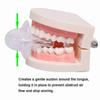 Anti Snoring Tongue Soft Transparent Medical Silicone Sleep Apnea Night Guard Stop Snore Tongue Retainer AQV ODJ S05