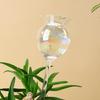 3pcs Self Watering Bulbs Space Saving Watering Globes Irrigation Transparent