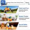 Pet Concentration Toy with Air Pump Multiple Nozzles Fast Inflation Tear-Resistant Chew-resistant Compact Size Portable Horse Training Inflatable