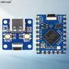 RP2040 Development Board with USB Type C Interface 2MB Flash Supports C C++ for Arduino Stamp Hole ZERO for Raspberry Pi Pico