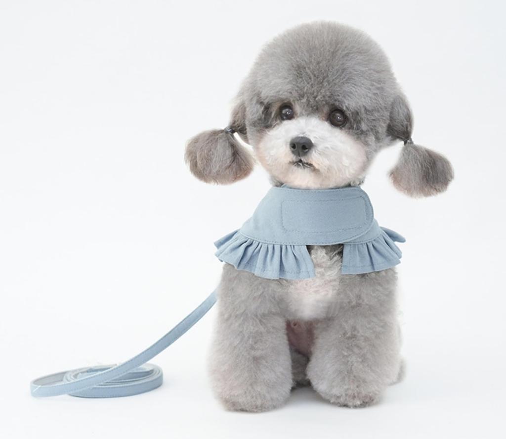 Frilled Clothing Harness with Glitter Decorations and Easy to Put On and Take Includes Matching Fabric Dog Walking for Dogs and Pet Use [Lady glamour]