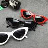 FASHION Sexy Cat Eye Sunglasses Triangle LADIES Small Size Modern Retro Designer Women Sun Glasses Shades for Lady