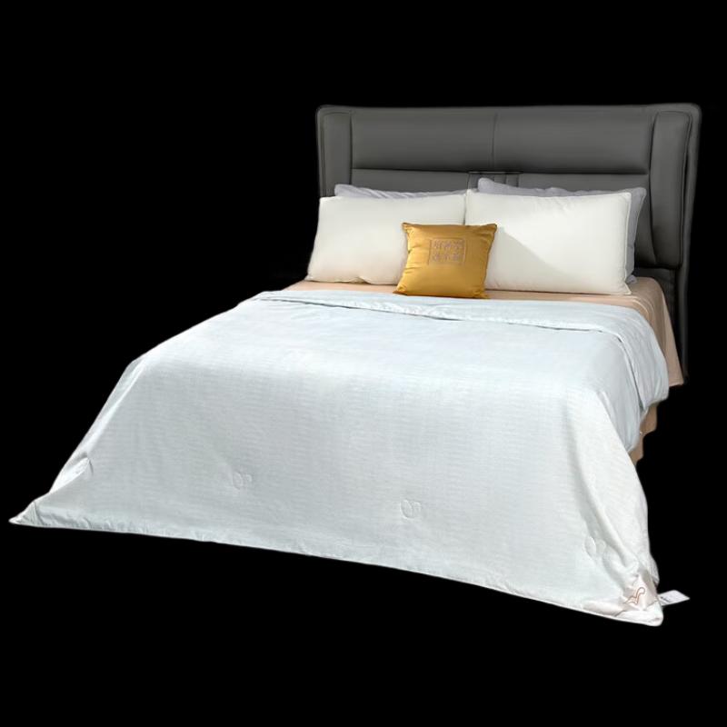 

Mercury Home Textiles DH Cindella Tussah Silk Quilt