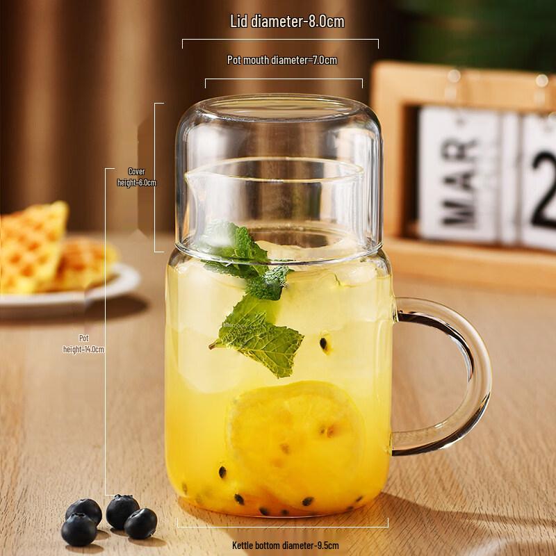 ZISIZ Large Capacity Heat-Resistant Glass Cup with Lid