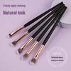 5-Piece Eye Makeup Brush Set for Eyeshadow, Nose Shadow, Blending, and Concealer with Soft Bristles