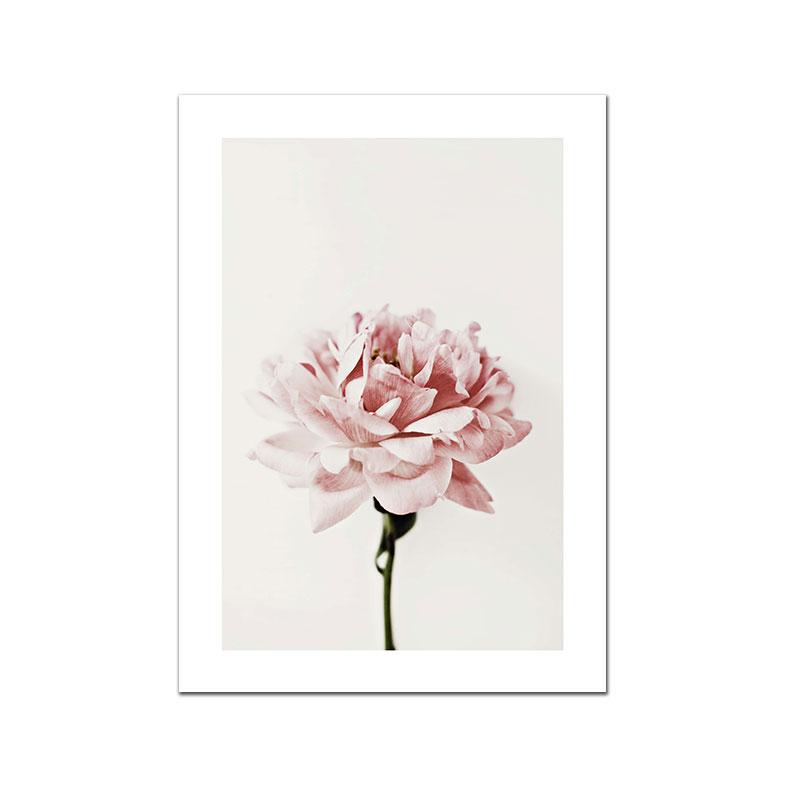 White Pink Red Flower Posters and Print Beatiful Peony Lily Poppy Canvas Painting Modern Wall Art Picture Living Room Decoration