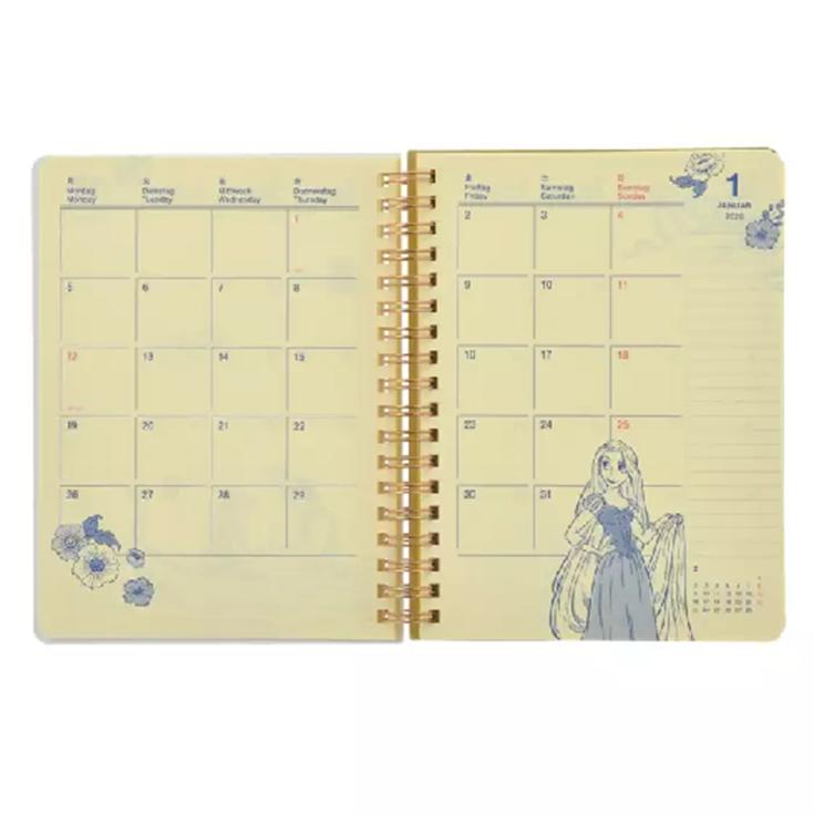 Disney Rapunzel Rollbahn Diary L Planner/Schedule Book CALENDAR & ORGANIZER 2026